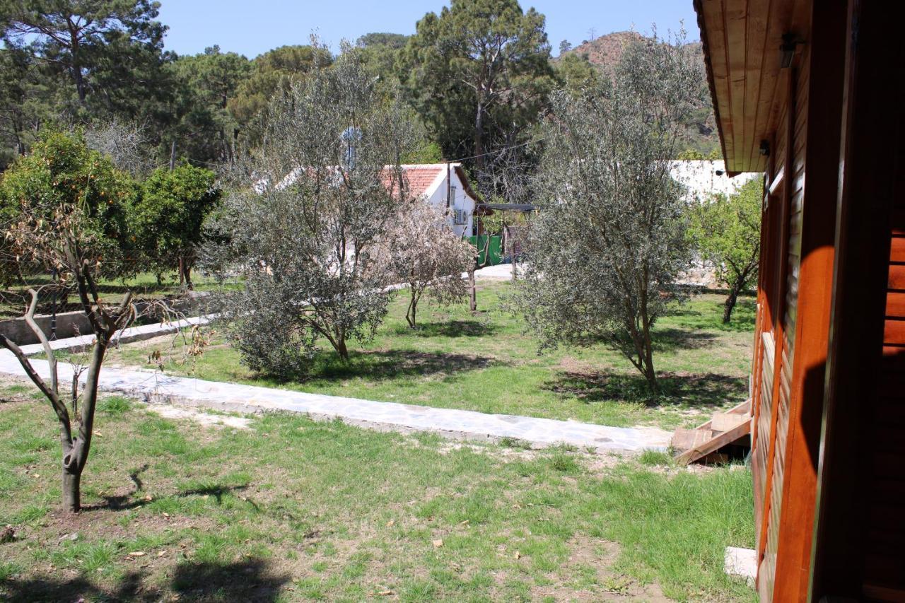דירות Çıralı Seker Bungalov מראה חיצוני תמונה