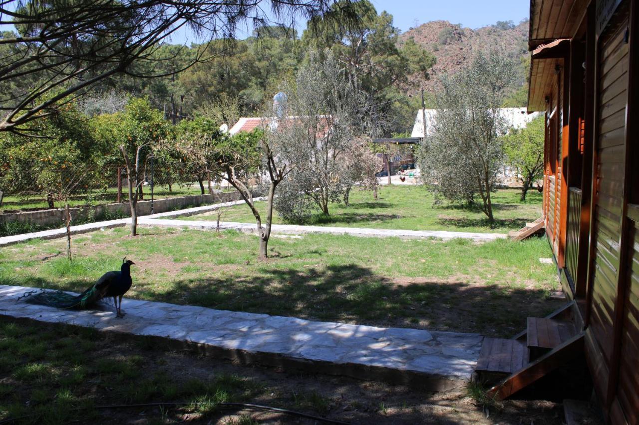 דירות Çıralı Seker Bungalov מראה חיצוני תמונה